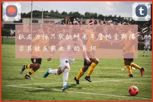 狄龙为何只敢挑衅老年詹帕金斯揭示其被灰熊放弃的真相