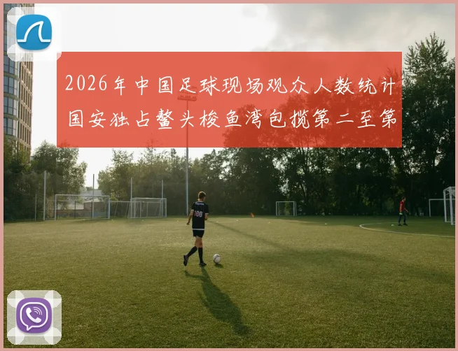 2026年中国足球现场观众人数统计国安独占鳌头梭鱼湾包揽第二至第七位